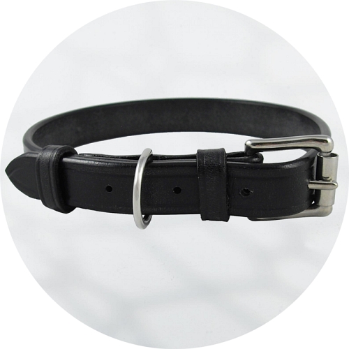 English bridle leather dog collar sale